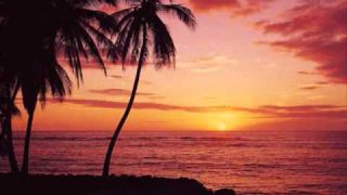 George de Fretes – Bunga Mawar