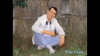ad van hoorn radio paloma